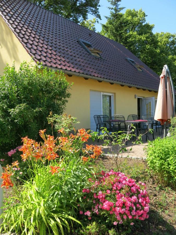 Schoelzke'S Ferienhaus Ralswiek Luaran gambar